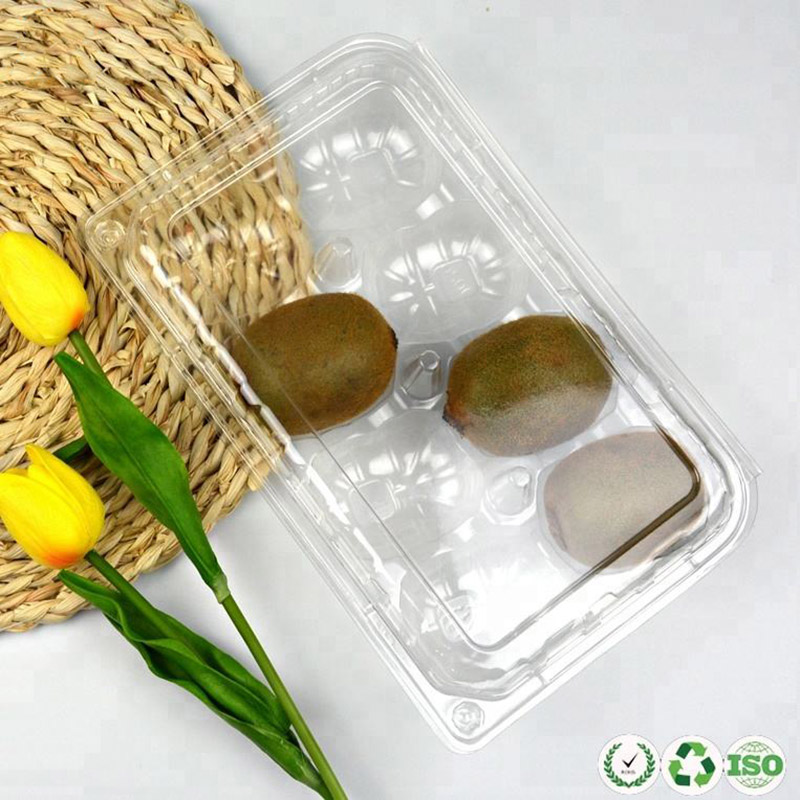 Contenitore di frutta in plastica traspirante traspirante per il kiwi