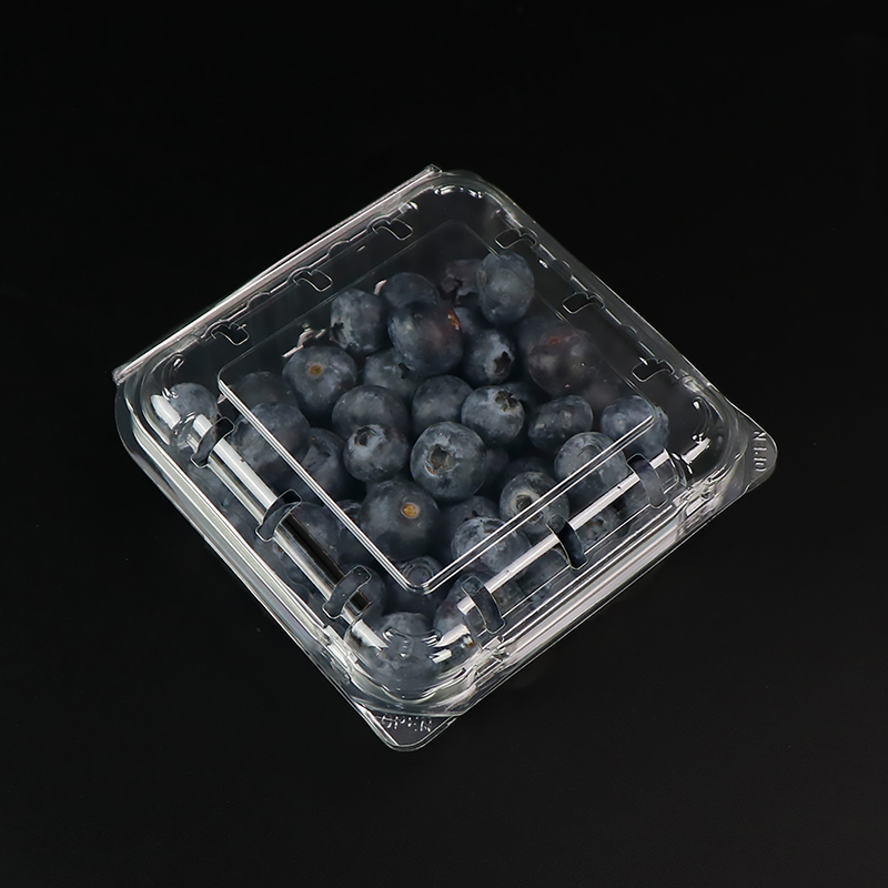 Box Blueberry Box con coperchio 103*108*42 mm HGF-125B