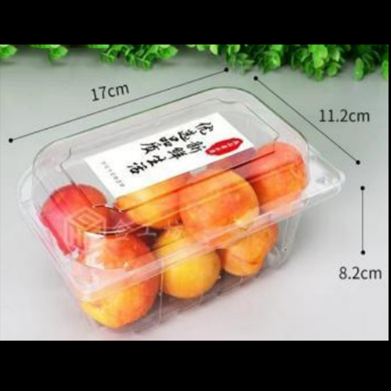 Fruit Box con coperchio 170*112*82 mm HGF-300L
