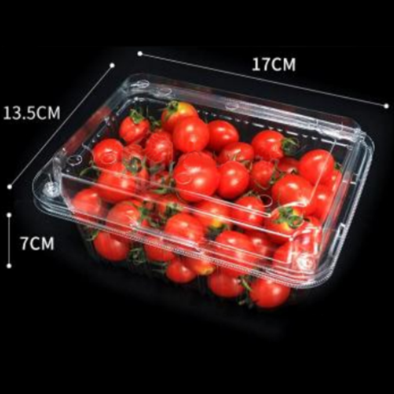 Fruit Box con coperchio 175*137*75 mm HGF-500b