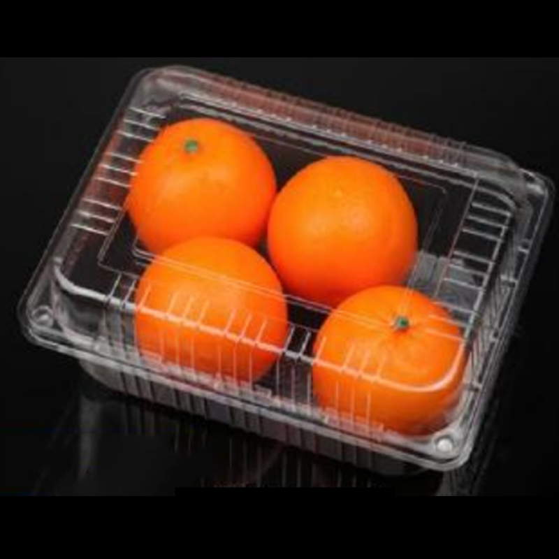 Fruit Box con coperchio 235*170*90 mm HGF-54C