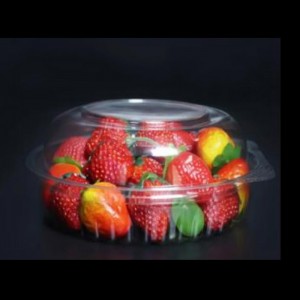 Scatola dell\'insalata 175*175*70 mm HGF-20DL