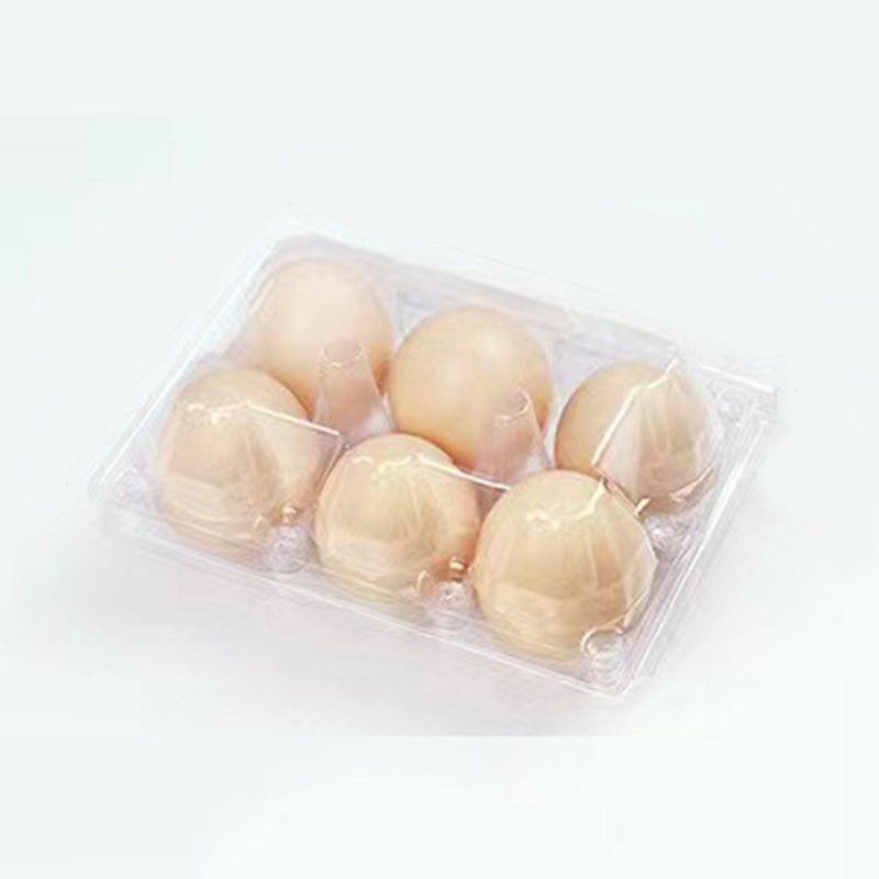 Vassoio di uova 155*105*65 mm 6 scanalature
